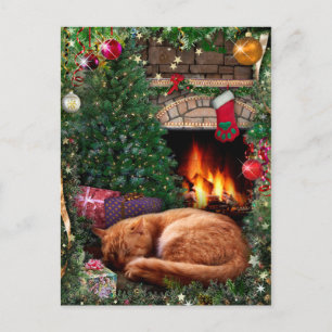 Cartes Pour Fêtes Annuelles Sleeping Cat next to the Fireplace on Christmas