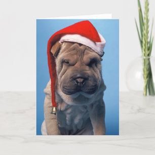 Cartes Pour Fêtes Annuelles Sleepy Shar Pei x mas Chien Noël