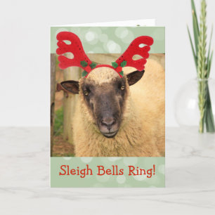 Cartes Pour Fêtes Annuelles Sleigh Bells Sheep