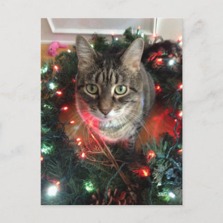 Cartes Pour Fêtes Annuelles Slim Kitty Holiday Wreath