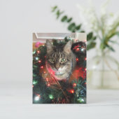Cartes Pour Fêtes Annuelles Slim Kitty Holiday Wreath (Debout devant)