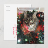 Cartes Pour Fêtes Annuelles Slim Kitty Holiday Wreath (Devant / Derrière)