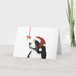 Cartes Pour Fêtes Annuelles Smile C'est Noël