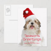 Cartes Pour Fêtes Annuelles Smiling Lhasa Apso (Devant / Derrière)