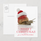 Cartes Pour Fêtes Annuelles Snail de Noël (Devant / Derrière)
