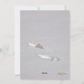 Cartes Pour Fêtes Annuelles Snow Snowdog Design (Dos)