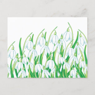 Cartes Pour Fêtes Annuelles Snowdrops de printemps