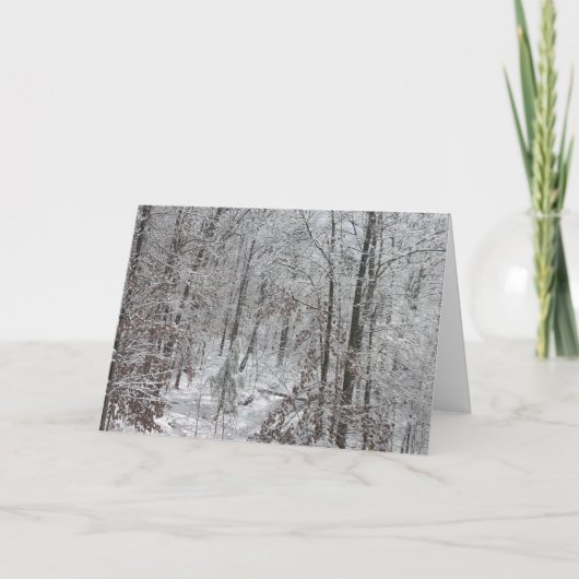 Cartes Pour Fêtes Annuelles Snowfall in SC mtns (Devant)