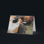 Cartes Pour Fêtes Annuelles Snowy Calico Cat add your text<br><div class="desc">Express your feelings with Puma. Change the phrase to say what ever you want.</div>