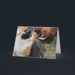 Cartes Pour Fêtes Annuelles Snowy Calico Cat add your text<br><div class="desc">Express your feelings with Puma. Change the phrase to say what ever you want.</div>