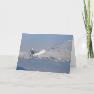 Cartes Pour Fêtes Annuelles Snowy Owl, baie de Boundary, Mt. Baker, BC