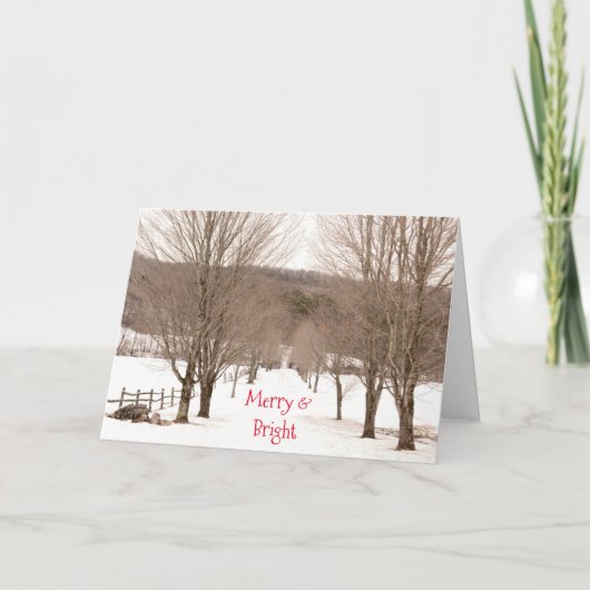 Cartes Pour Fêtes Annuelles Snowy Vermont Merry & Bright Employeur festif (Devant)