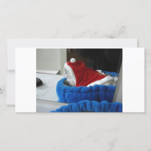 Cartes Pour Fêtes Annuelles Snuggler est des pattes de Père Noël