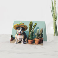 sombrero perro