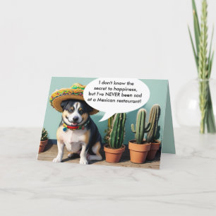 Cartes Pour Fêtes Annuelles sombrero perro mème
