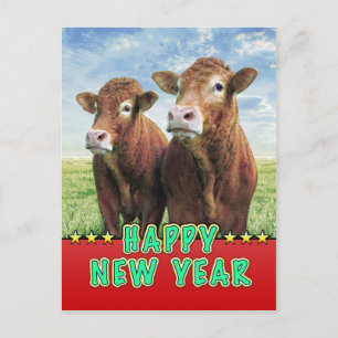 Cartes Pour Fêtes Annuelles Sorcière de BONNE ANNÉE les garçons de vache