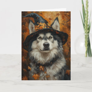 Cartes Pour Fêtes Annuelles Sorcière Malamute Halloween