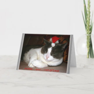 Cartes Pour Fêtes Annuelles Souhait de Noël d'un chat