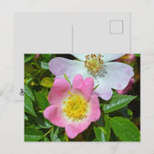 Cartes Pour Fêtes Annuelles Souhaits du printemps (Devant / Derrière)