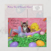 Cartes Pour Fêtes Annuelles Souhaits Pâques ! (Devant / Derrière)