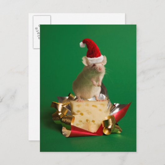 Cartes Pour Fêtes Annuelles Souris avec casquette Père Noël avec fromage (Devant / Derrière)