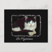 Cartes Pour Fêtes Annuelles Soyez la sagesse mystérieuse des chats signets (Devant)