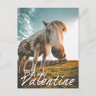 Cartes Pour Fêtes Annuelles Soyez ma Saint-Valentin avec un cheval qui regarde