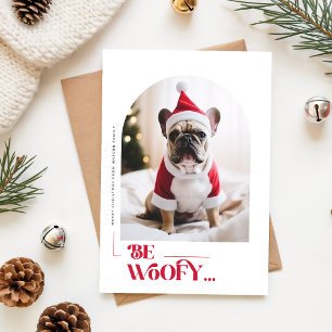 Cartes Pour Fêtes Annuelles Soyez Woofy Chien Drôle Animalerie Arche Photo Noë