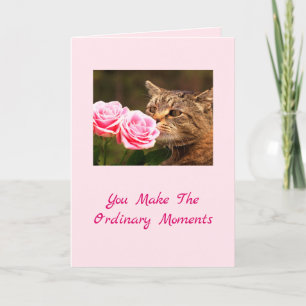 Cartes Pour Fêtes Annuelles Special Cat Magical Valentine's Day