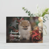 Cartes Pour Fêtes Annuelles Spitz de Pomeranian, chiot de Noël (Debout devant)
