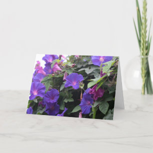 Cartes Pour Fêtes Annuelles Spring Morning Glories en bleu