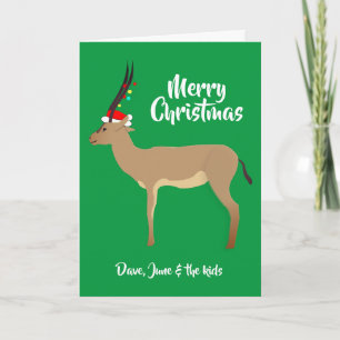 Cartes Pour Fêtes Annuelles Springbok de Noël