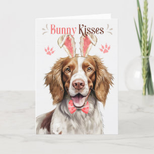 Cartes Pour Fêtes Annuelles Springer Spaniel Chien Bunny Oreilles pour Pâques
