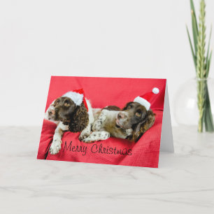 Cartes Pour Fêtes Annuelles Springers