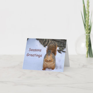 Cartes Pour Fêtes Annuelles SquirlChristmas
