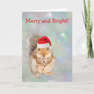 Cartes Pour Fêtes Annuelles Squirrel and Candy Cane Christmas 