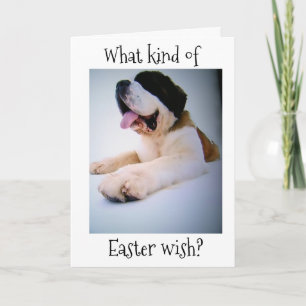 CARTES POUR FÊTES ANNUELLES ST. BERNARD ENVOIE SES VŒUX DE PÂQUES "ÉNORMES"