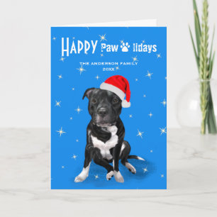 Cartes Pour Fêtes Annuelles Staffordshire Bull Terrier Christmas Staffy Lovers