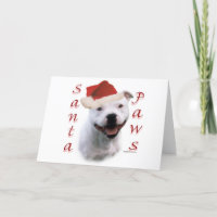 Staffordshire Bull Terrier Père Noël Paws