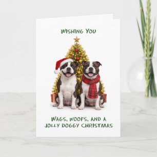 Cartes Pour Fêtes Annuelles Staffordshire Bull Terriers Chiens Noël