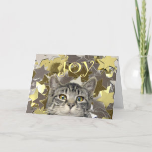 Cartes Pour Fêtes Annuelles Star Kitten