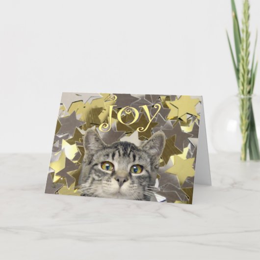 Cartes Pour Fêtes Annuelles Star Kitten (Devant)