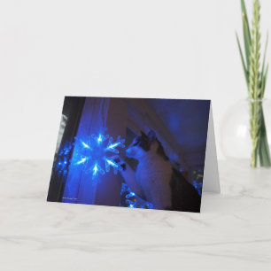 Cartes Pour Fêtes Annuelles Star of Wonder