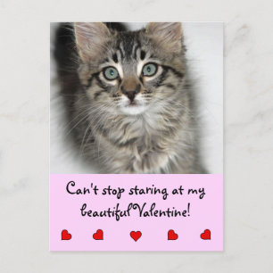 Cartes Pour Fêtes Annuelles Staring Valentine Kitten