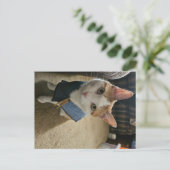 Cartes Pour Fêtes Annuelles Stop Embarrassing Me! Postcard (Debout devant)