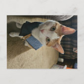 Cartes Pour Fêtes Annuelles Stop Embarrassing Me! Postcard (Devant)