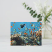 Cartes Pour Fêtes Annuelles Stripey Poisson Tropical Coral Chaos (Debout devant)