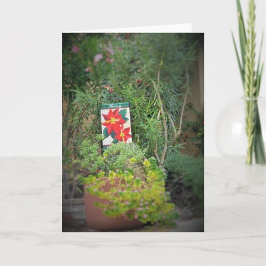 Cartes Pour Fêtes Annuelles Style Arizona de Noël ! (Devant)