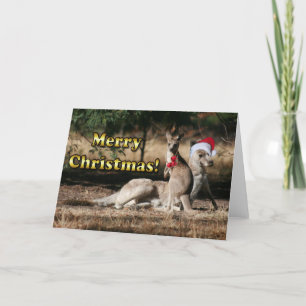 Cartes Pour Fêtes Annuelles Style australien Kangaroos de Noël
