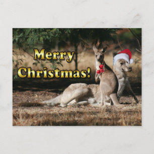 Cartes Pour Fêtes Annuelles Style australien Kangaroos de Noël